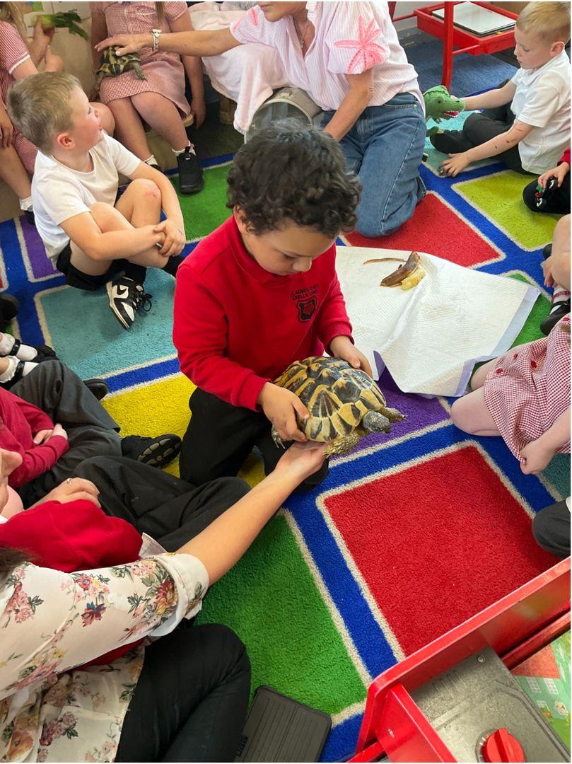 We had a visit from tortoises's pebble and minnie 